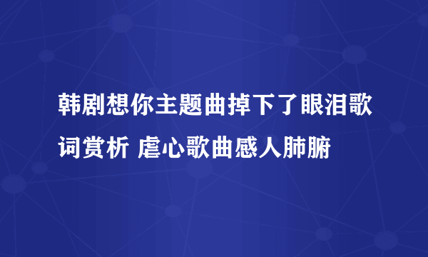 韩剧想你主题曲掉下了眼泪歌词赏析 虐心歌曲感人肺腑