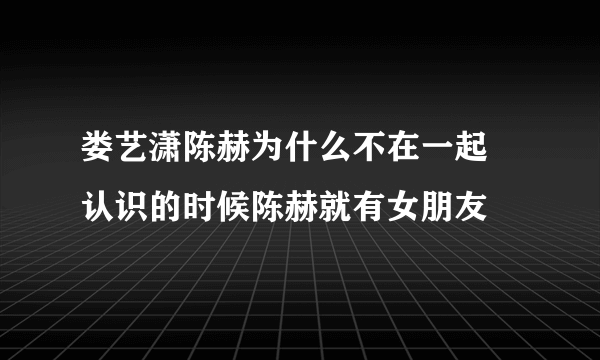 娄艺潇陈赫为什么不在一起 认识的时候陈赫就有女朋友