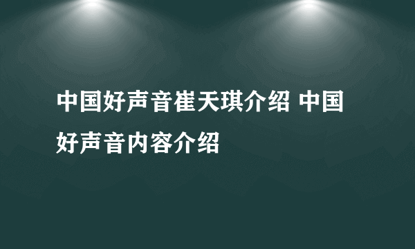 中国好声音崔天琪介绍 中国好声音内容介绍