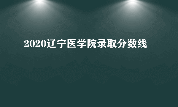 2020辽宁医学院录取分数线