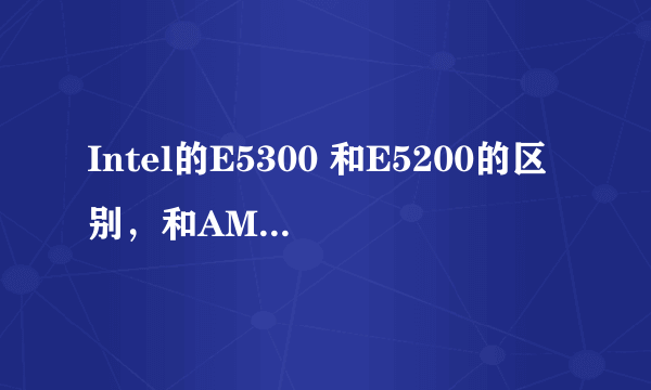 Intel的E5300 和E5200的区别，和AMD5000+的区别，哪个好