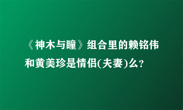 《神木与瞳》组合里的赖铭伟和黄美珍是情侣(夫妻)么？