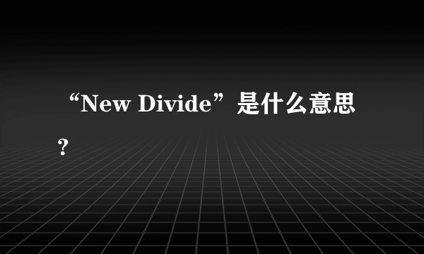 “New Divide”是什么意思？