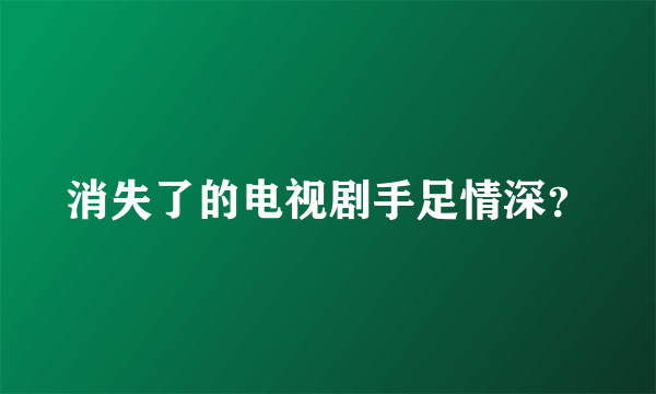 消失了的电视剧手足情深？