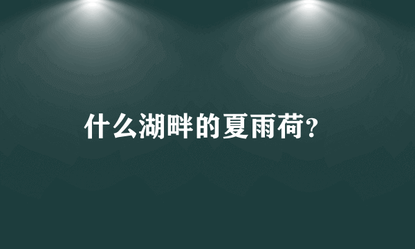 什么湖畔的夏雨荷？