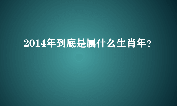 2014年到底是属什么生肖年？