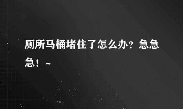 厕所马桶堵住了怎么办？急急急！~