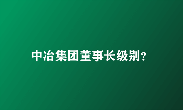 中冶集团董事长级别？