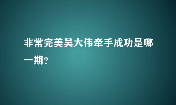 非常完美吴大伟牵手成功是哪一期？