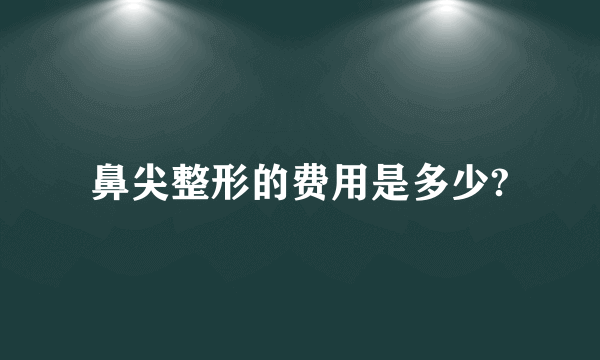 鼻尖整形的费用是多少?