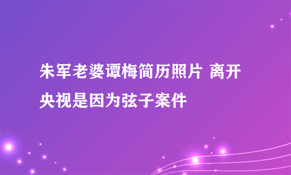 朱军老婆谭梅简历照片 离开央视是因为弦子案件