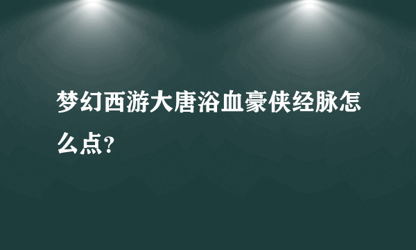 梦幻西游大唐浴血豪侠经脉怎么点？