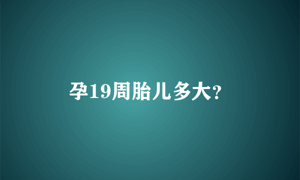 孕19周胎儿多大？