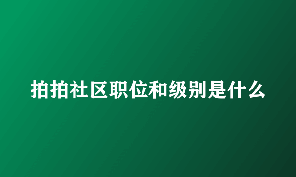 拍拍社区职位和级别是什么