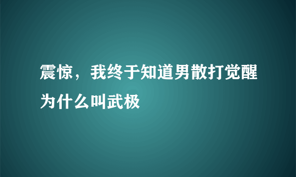 震惊，我终于知道男散打觉醒为什么叫武极