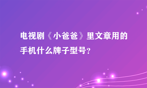 电视剧《小爸爸》里文章用的手机什么牌子型号？