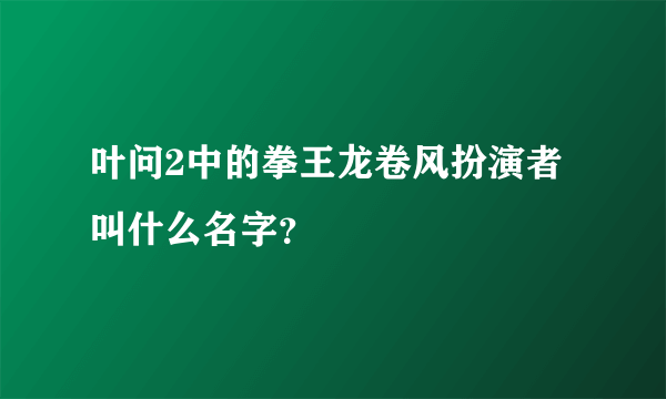 叶问2中的拳王龙卷风扮演者叫什么名字？