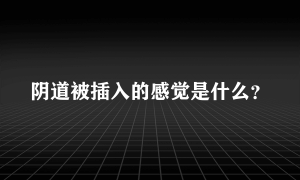 阴道被插入的感觉是什么？