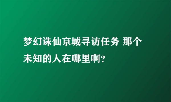 梦幻诛仙京城寻访任务 那个未知的人在哪里啊？