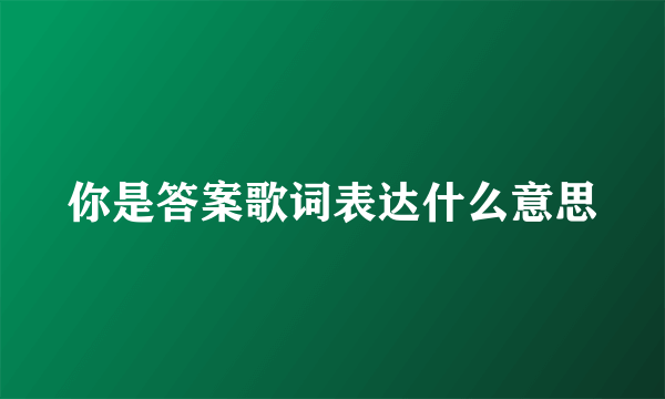 你是答案歌词表达什么意思