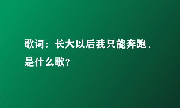 歌词：长大以后我只能奔跑、是什么歌？