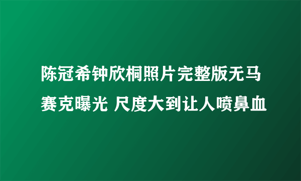 陈冠希钟欣桐照片完整版无马赛克曝光 尺度大到让人喷鼻血