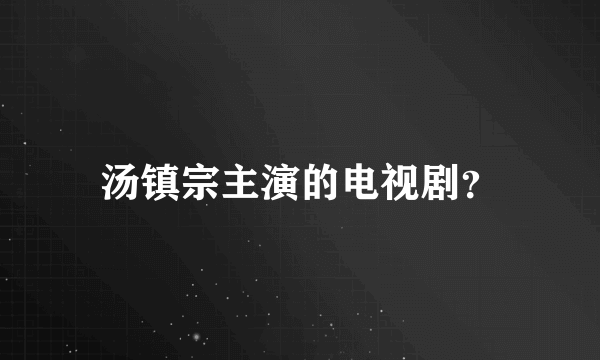 汤镇宗主演的电视剧？