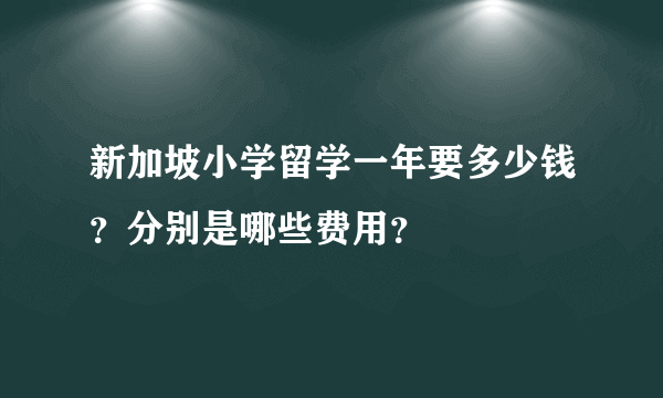 新加坡小学留学一年要多少钱？分别是哪些费用？