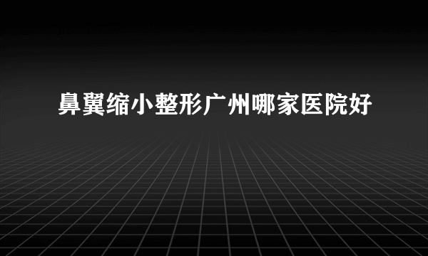 鼻翼缩小整形广州哪家医院好