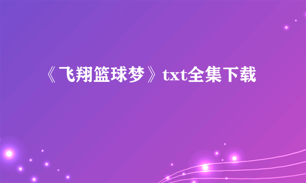 《飞翔篮球梦》txt全集下载