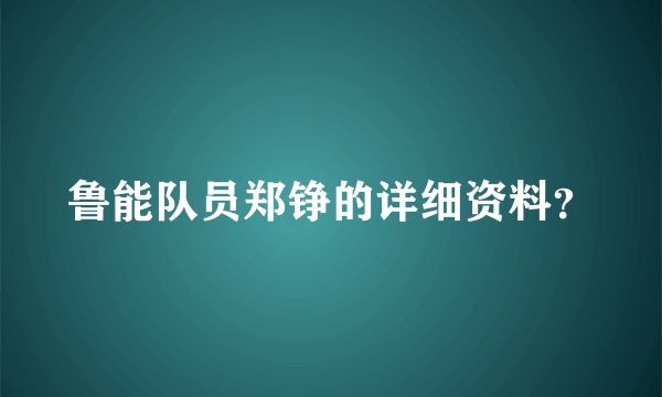 鲁能队员郑铮的详细资料？