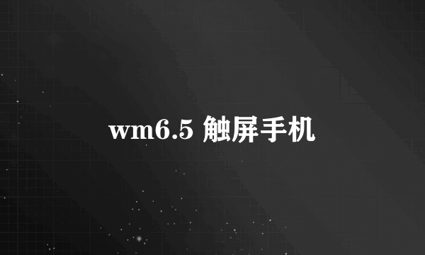 wm6.5 触屏手机