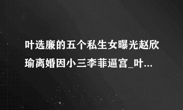 叶选廉的五个私生女曝光赵欣瑜离婚因小三李菲逼宫_叶选廉_飞外网