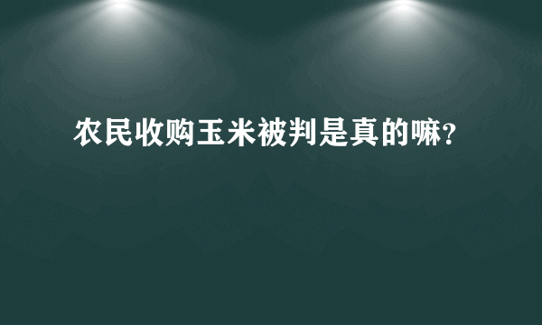 农民收购玉米被判是真的嘛？