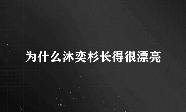 为什么沐奕杉长得很漂亮