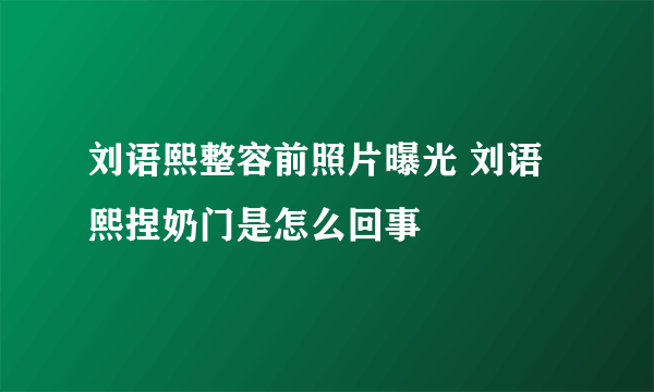 刘语熙整容前照片曝光 刘语熙捏奶门是怎么回事