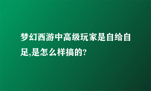 梦幻西游中高级玩家是自给自足,是怎么样搞的?