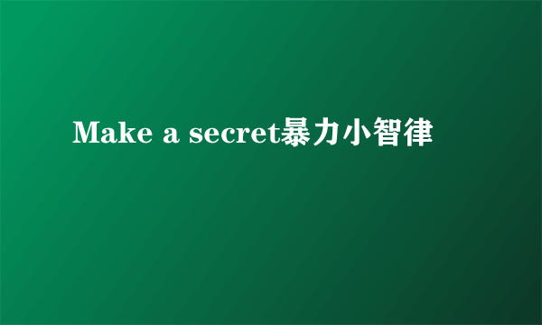 Make a secret暴力小智律