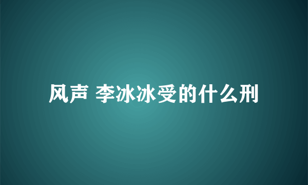 风声 李冰冰受的什么刑