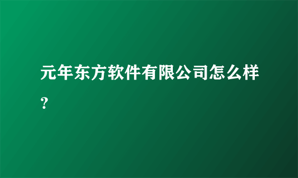 元年东方软件有限公司怎么样？