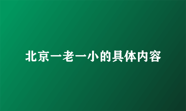 北京一老一小的具体内容