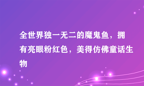 全世界独一无二的魔鬼鱼，拥有亮眼粉红色，美得仿佛童话生物