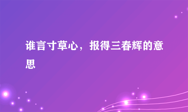 谁言寸草心，报得三春辉的意思