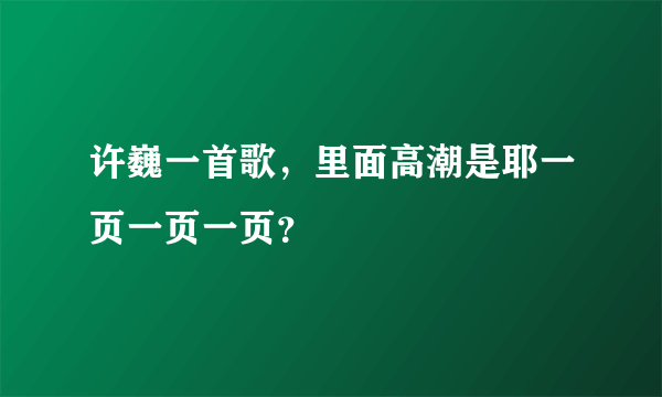 许巍一首歌，里面高潮是耶一页一页一页？