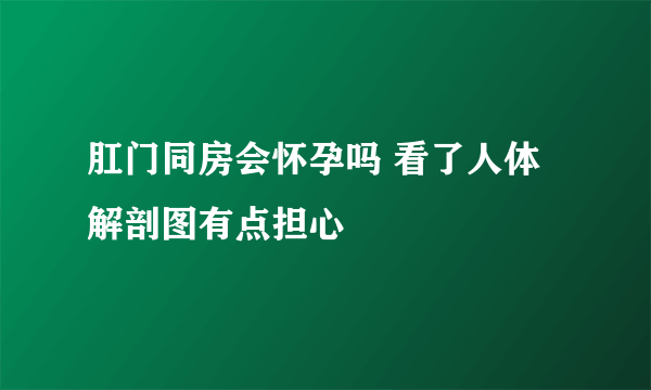 肛门同房会怀孕吗 看了人体解剖图有点担心