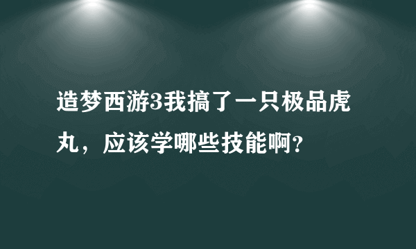 造梦西游3我搞了一只极品虎丸，应该学哪些技能啊？