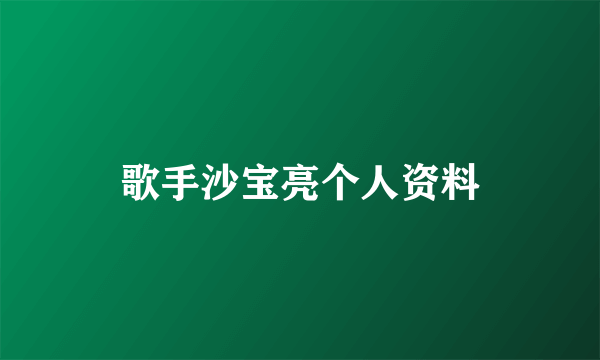 歌手沙宝亮个人资料