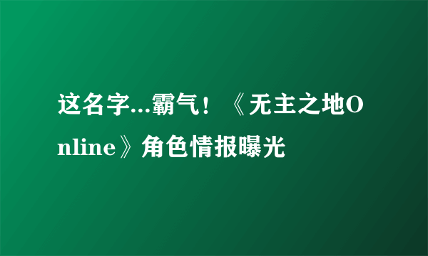 这名字...霸气！《无主之地Online》角色情报曝光