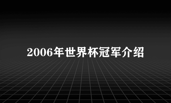 2006年世界杯冠军介绍