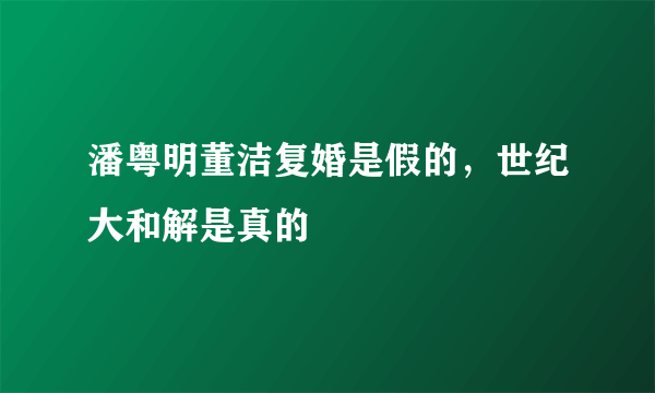 潘粤明董洁复婚是假的，世纪大和解是真的